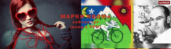 прущие грибы Зеленокумск