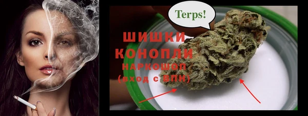прущие грибы Зеленокумск