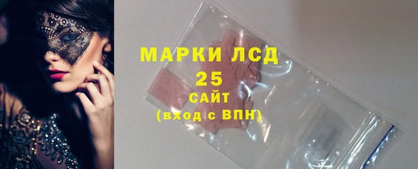 прущие грибы Зеленокумск