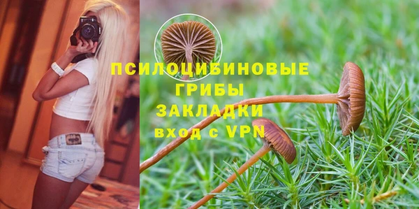 mdma Заводоуковск