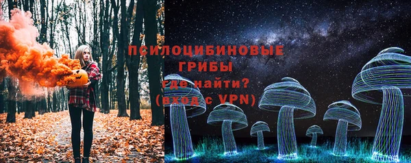 mdma Заводоуковск