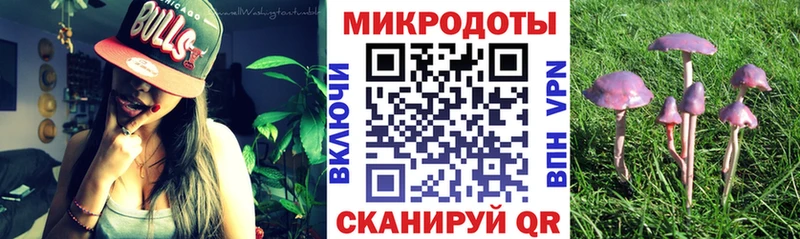 Псилоцибиновые грибы мицелий  Купить где  Магас 