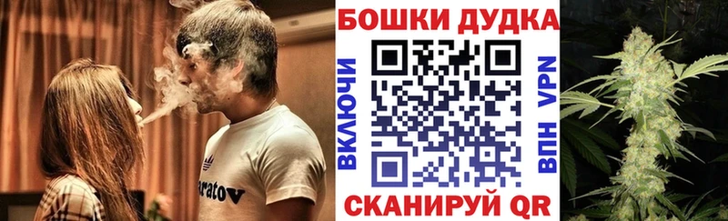 МАРИХУАНА план  Купить  Магас 
